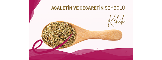 KEKİK BİTKİSİ: ASALET,CESARET VE ZENGİLİĞİN SEMBOLÜ